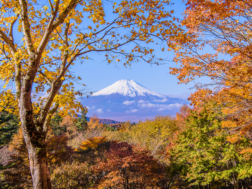 二十曲峠から