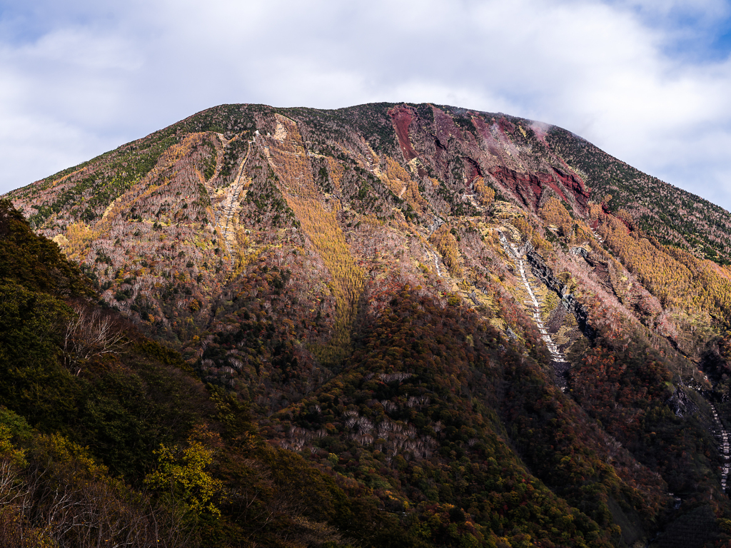 明智平の紅葉