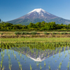 田植えの後