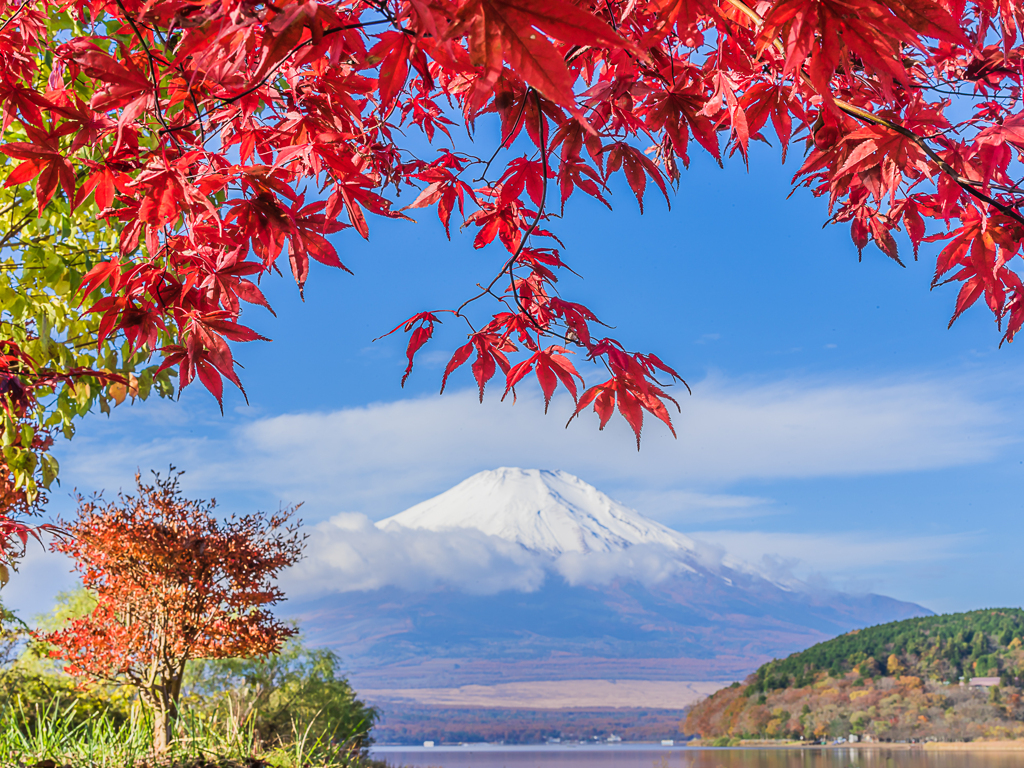 平野から