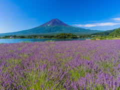 河口湖から