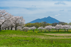 春の筑波山