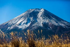 冬の富士山