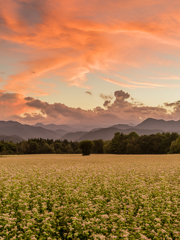 高杖高原夕景