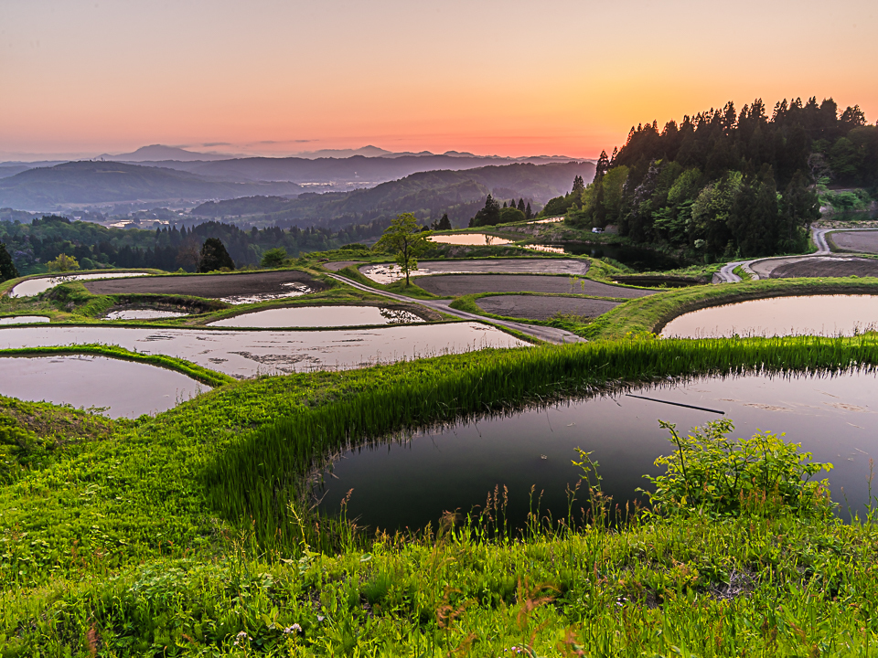 棚田の夕景