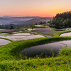 棚田の夕景