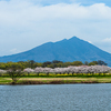 母子島遊水池から