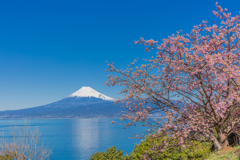 海の向こうの