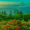 甘利山朝景