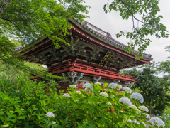 雨引　仁王門Ⅱ