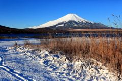 山中湖雪景