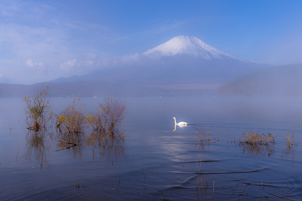 山中湖から