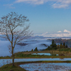 峠の棚田