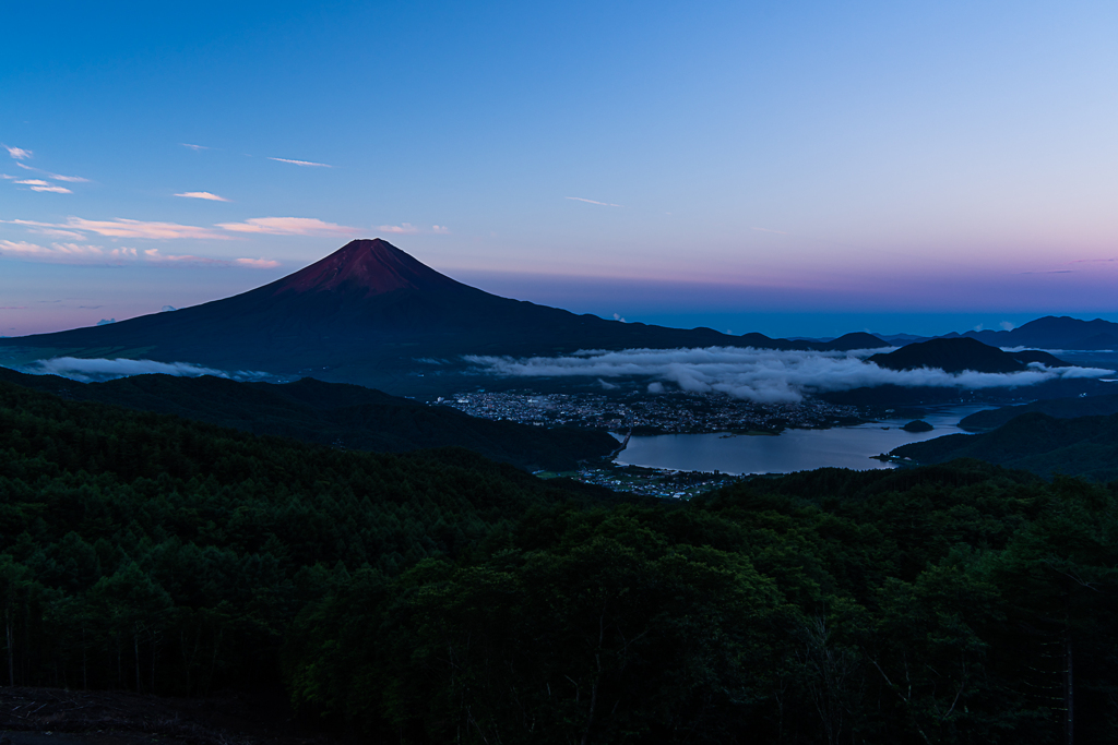 早朝の林道から