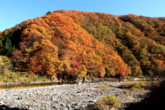 奥会津の紅葉