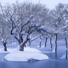 冬の小野川湖