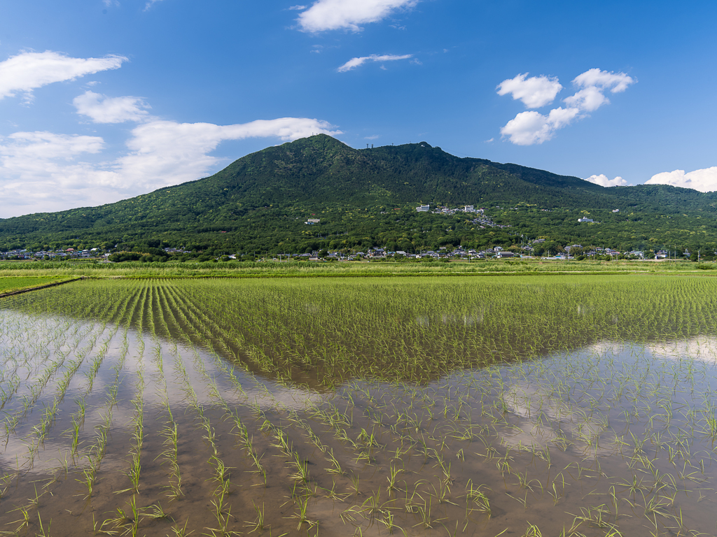 紫峰（五月）