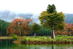 中子池から