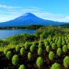 富士山写真集