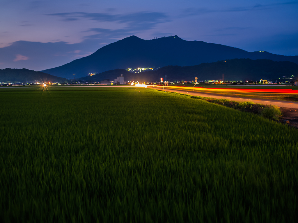 夏夜景