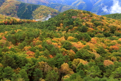 志賀高原の紅葉