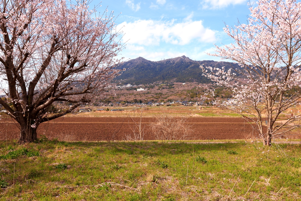 筑波山