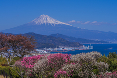 日本平から