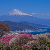 日本平から