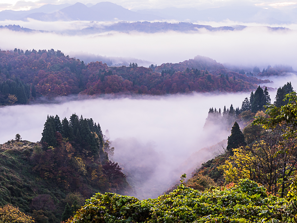 雲海