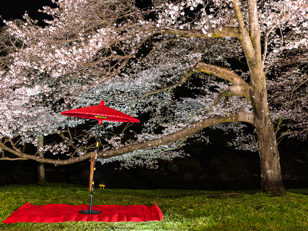 桜祭り