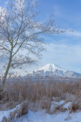 忍野村の雪景色