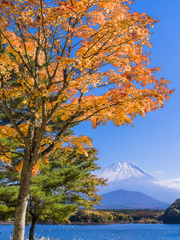 精進湖から