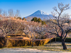 岩本山公園から