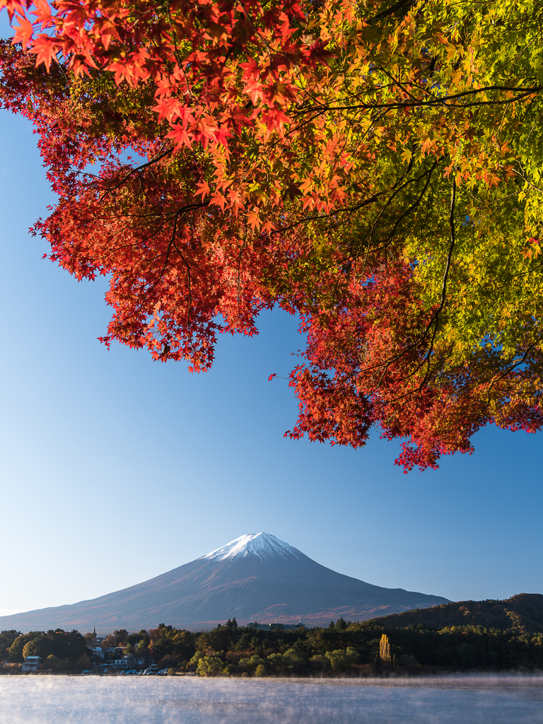 初紅葉