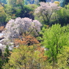 春の山