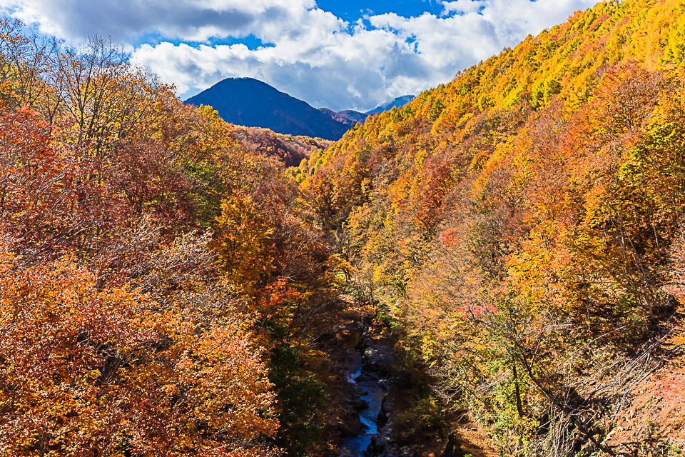 中津川渓谷