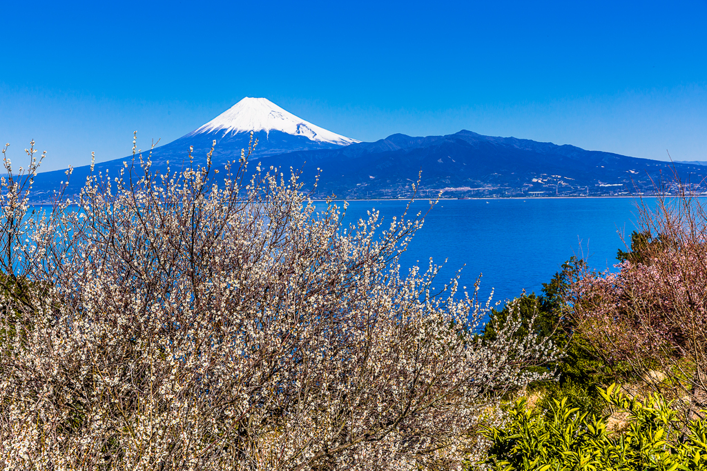 海の向こうのⅡ