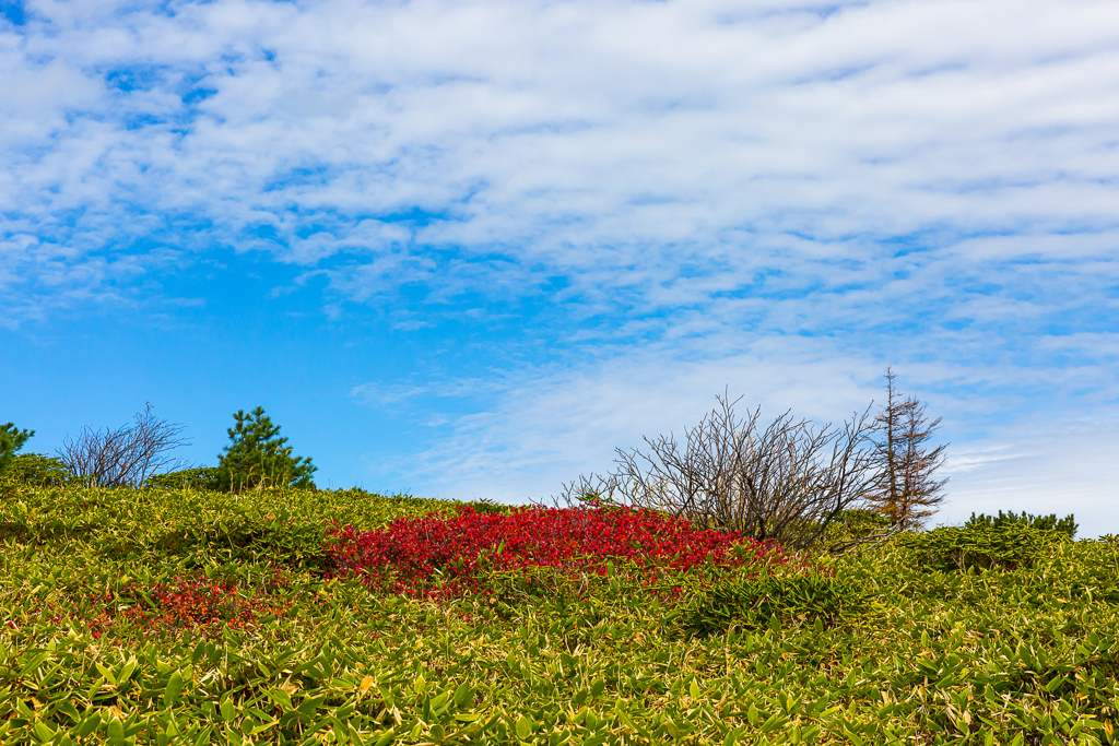 山田峠から