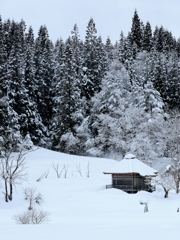 雪景色