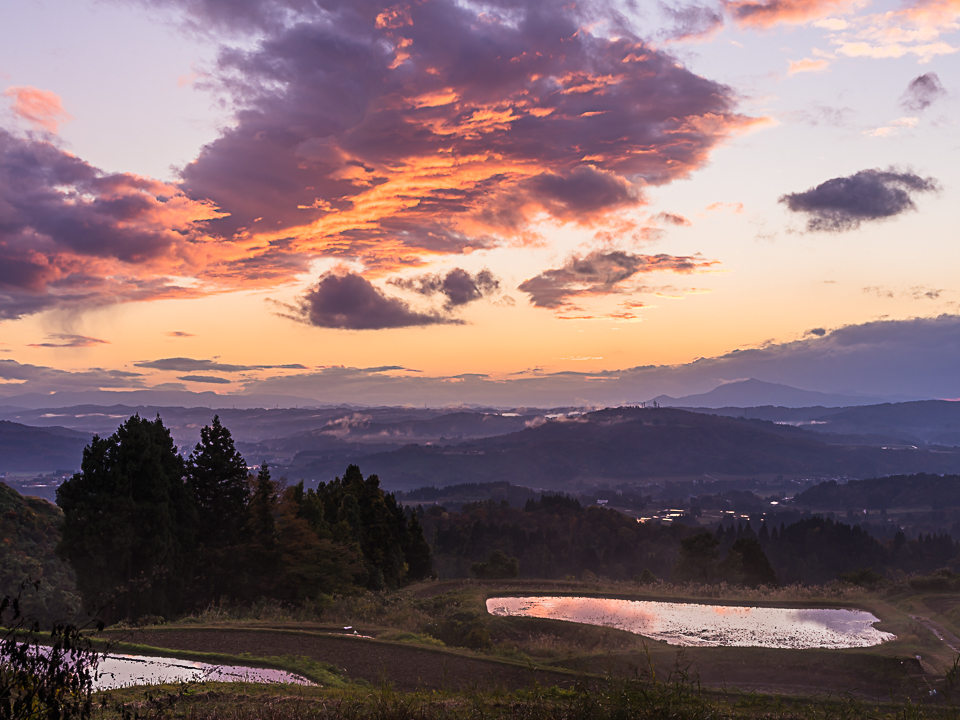 棚田の夕景