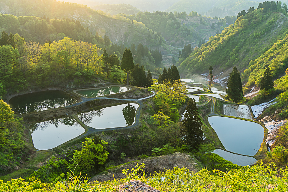 山古志の棚田