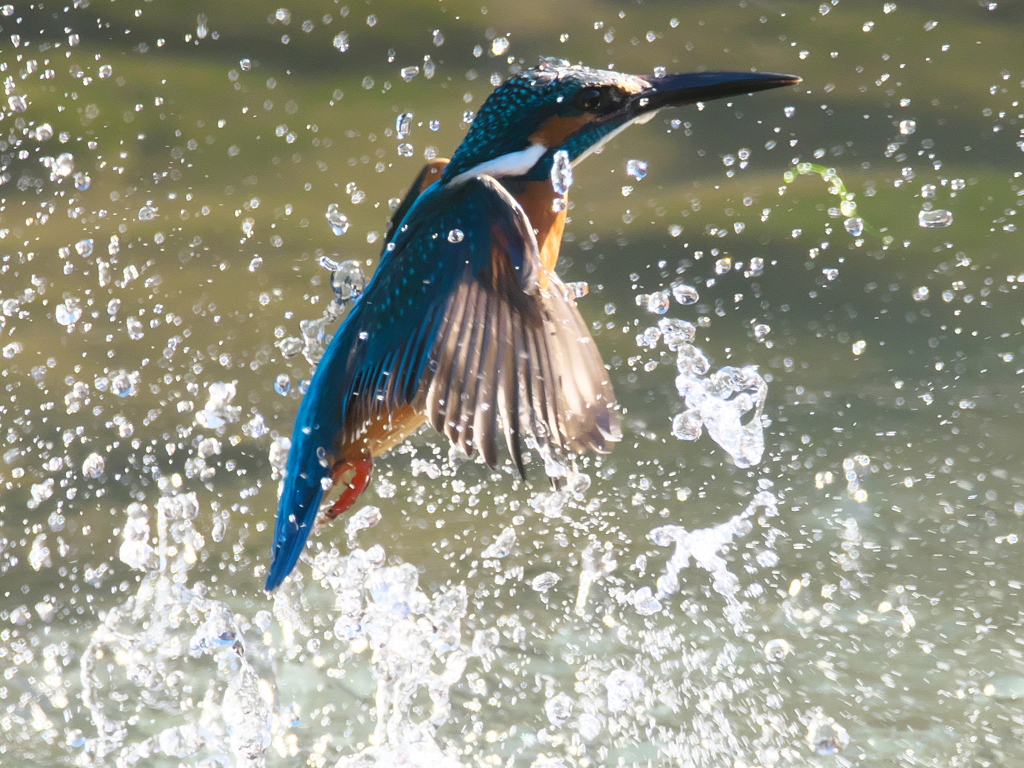 浮上 296（父親）