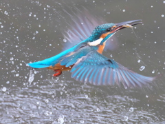 浮上 240-2(父親) 浮上 240-2(父親)