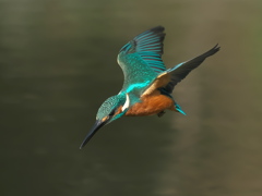 ロックオン 24-2