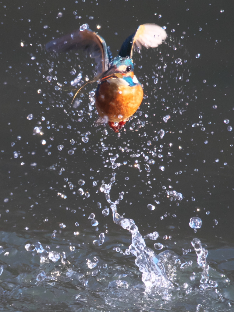 浮上 334（父親）