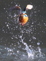 浮上 334（父親）