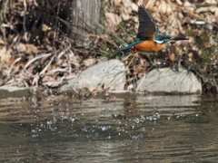 浮上 440-2（父親）