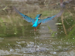 浮上 104-2（父親）
