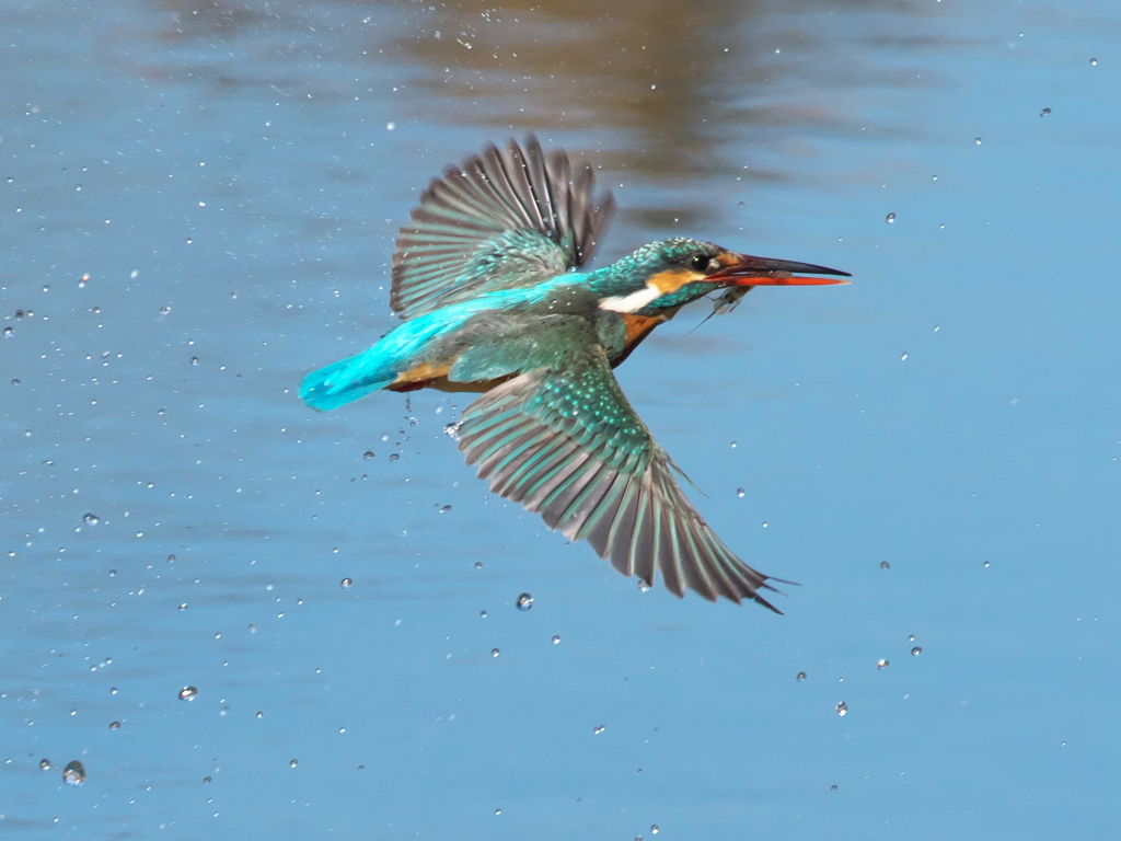浮上 372（嫁候補）