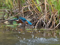浮上 149-2（父親）